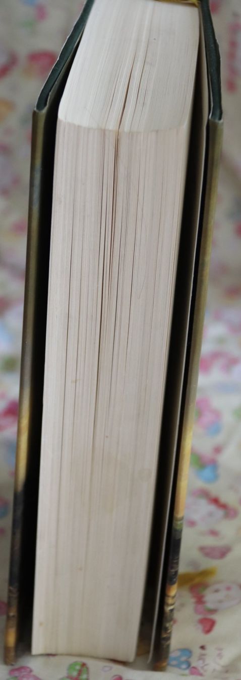 Bücher: Undank ist der Väter Lohn von Elizabeth George – Gebraucht aus Glattfelden von Vrenely 3