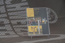 BSC YB Rarität - Tornetzstück vom Cupfinal 2023 (7/15)