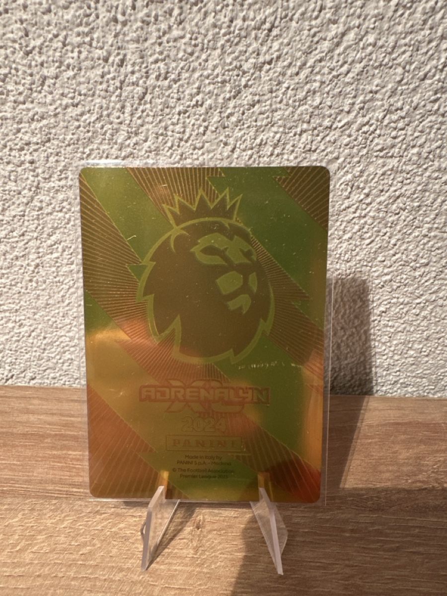 Panini Carte collezionabili: Panini Adrenalyn Golden Baller Eze 2024 – Usato da Bassersdorf venduto da Bryan-00 1