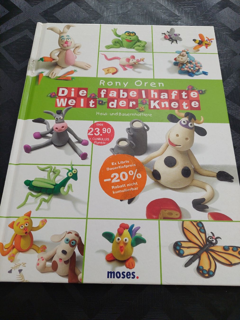 Libri: Die fabelhafte Welt der  Knete – Usato da Zetzwil venduto da lanst08