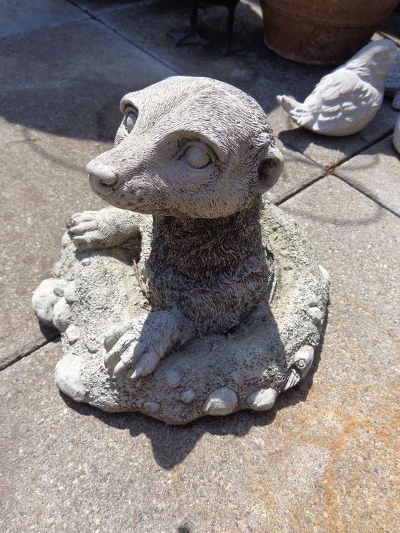 Erdmännchen Garten Deko Beton od. Stein Kaufen auf Ricardo