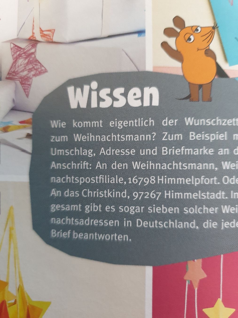 Libri: Bastelbuch "Basteln mit der Maus" Tolles Buch – Nuovo (secondo la descrizione) da Winterthur venduto da ivo_hmm2 1