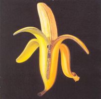 CD Dandy Warhols - Welcom to the monkey house (2003)