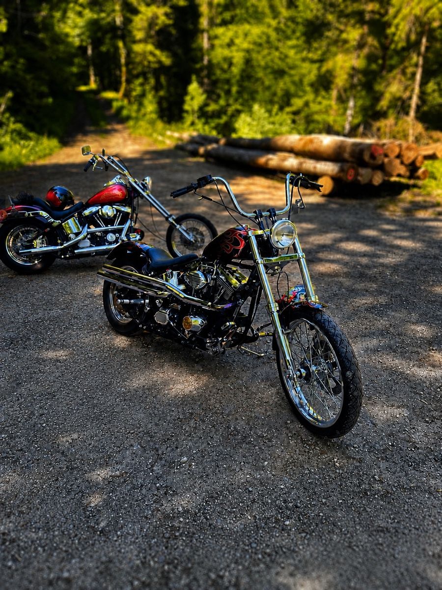Harley-Davidson Chopper: Harley Davidson Softail – Usato da Alterswil FR venduto da Puchulus 5