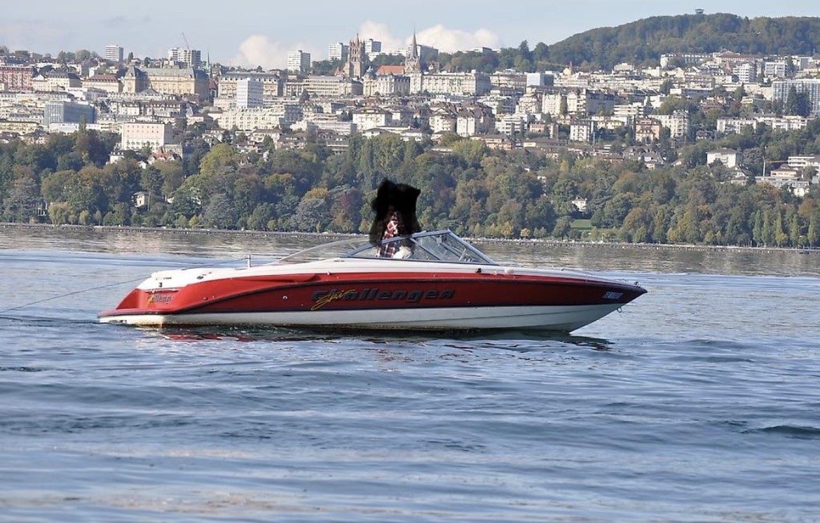 Bayliner Bateaux: Bayliner 2180CX Ski Challenger – Défectueux à La Croix (Lutry) par Jeceva 5