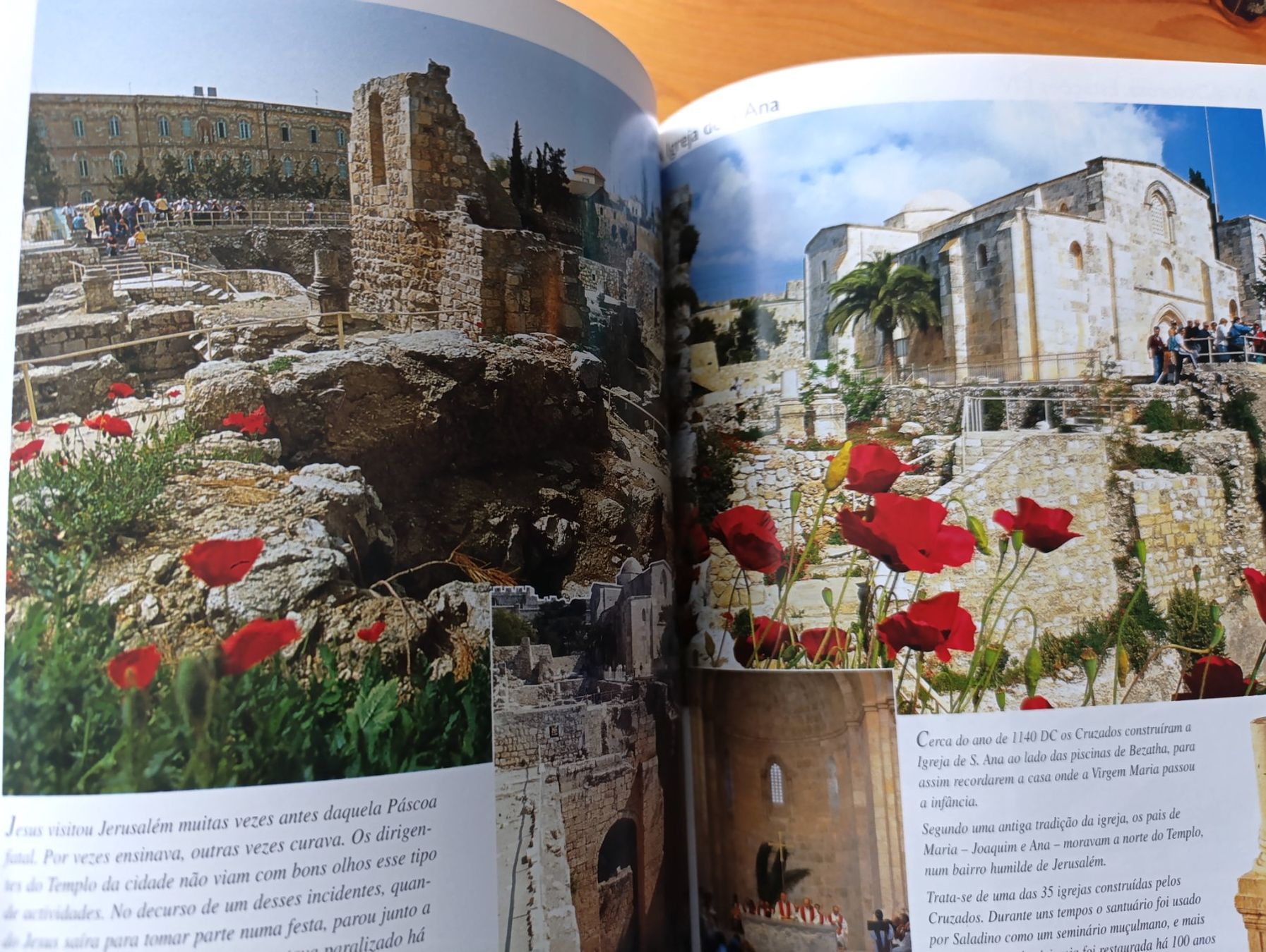 Libri: Viagens na Terra Santa – Usato da Prangins venduto da Timband 3