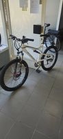 Santa Cruz