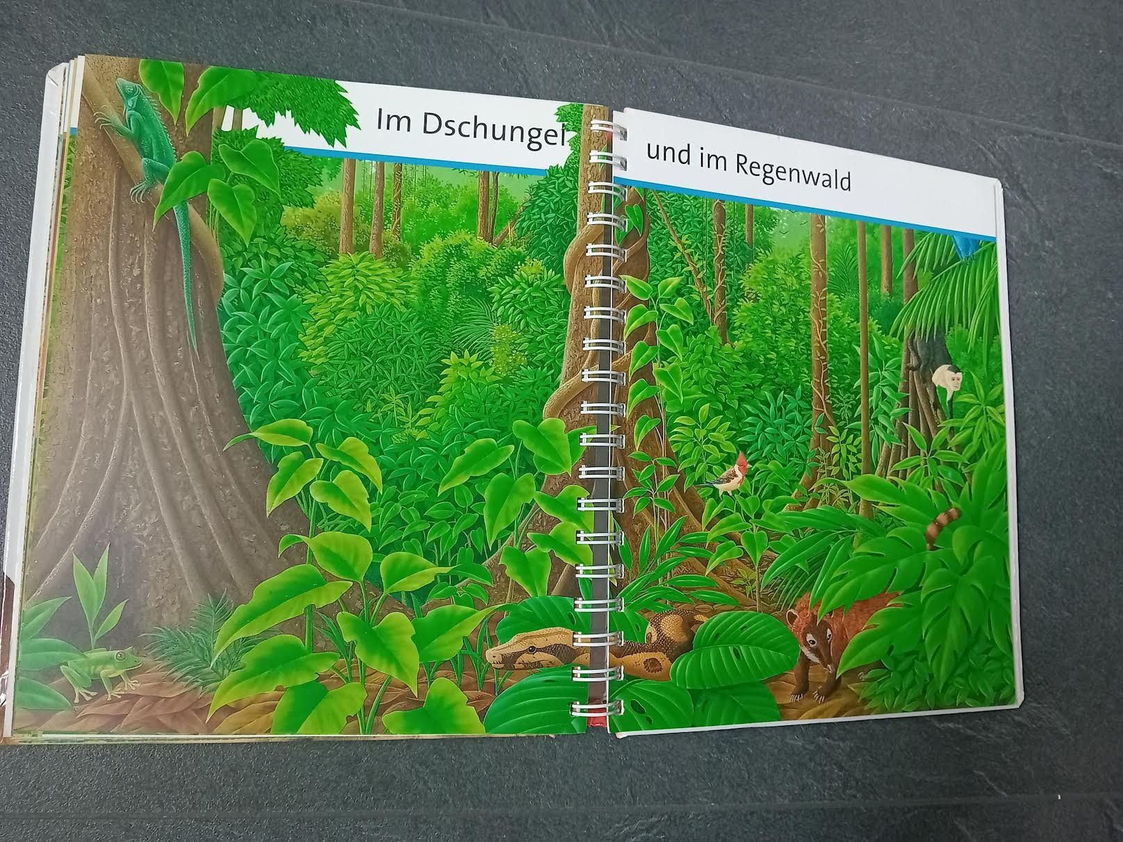 Libri: Tierbuch "Mein grosses Bildwörterbuch Tiere" – Usato da Salez venduto da Robe12 4