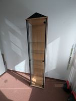 Glasvitrine schmal mit Glastür & Glasböden, Höhe 180 cm