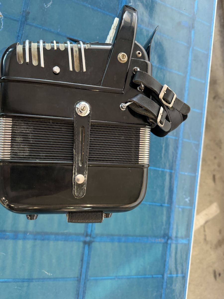 Hohner Strumenti musicali: Hohner morino Club – Usato da Muhen venduto da MiGeiss64 6