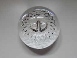 Eule aus Glas / Briefbeschwerer Kristallglas