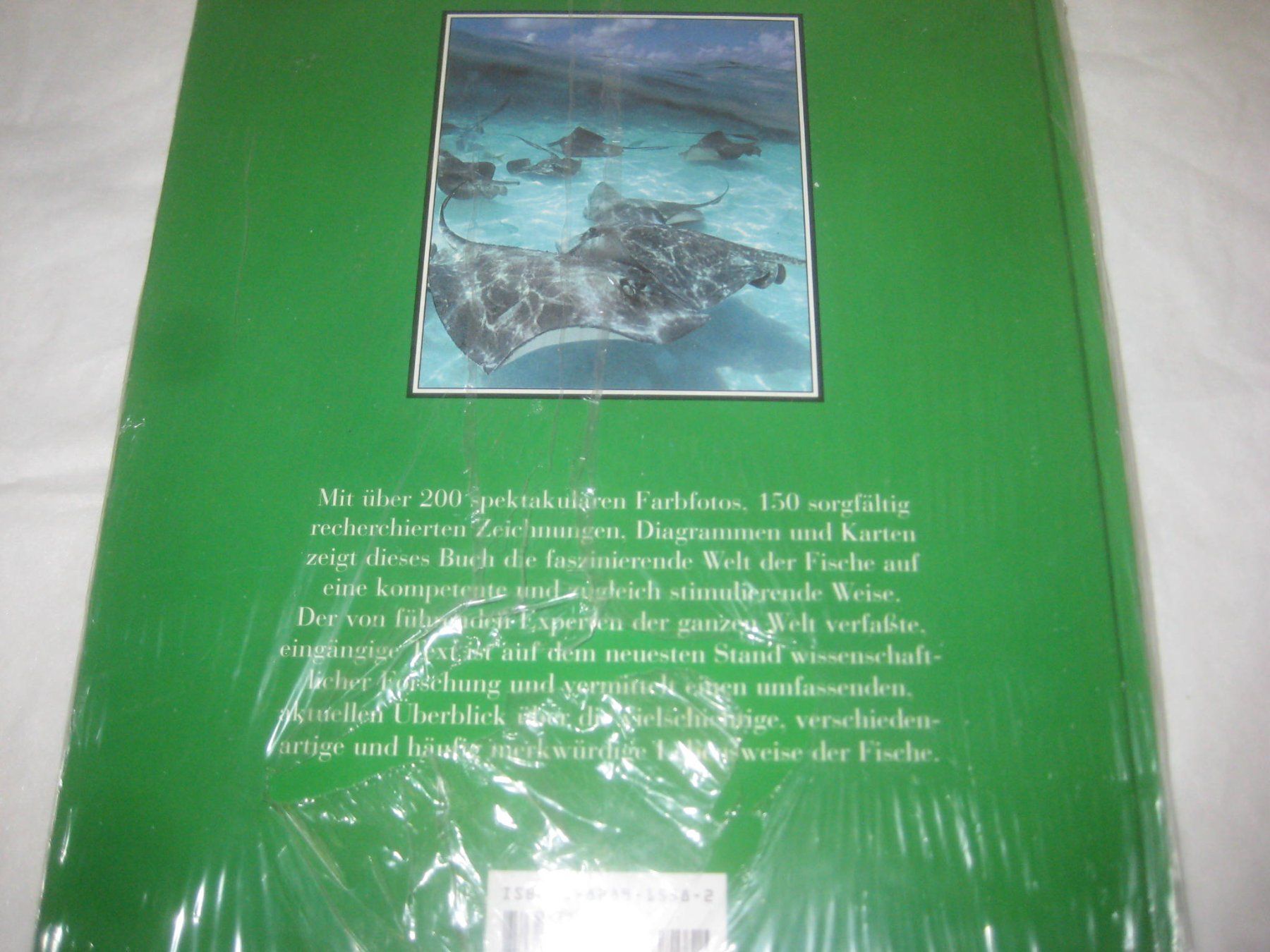 Libri: BUCH  FISCHE – Nuovo e nell'imballaggio originale da Uster venduto da flocke1 2