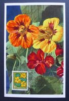PJ 1959, Maximumkarte J181, Kapuziner Blume Ersttag
