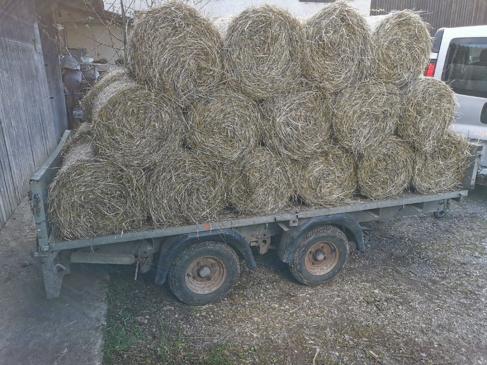 Futter: Heu kleine Rundballen – Neu (gemäss Beschreibung) aus Grüningen von
