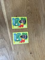Panini 2026