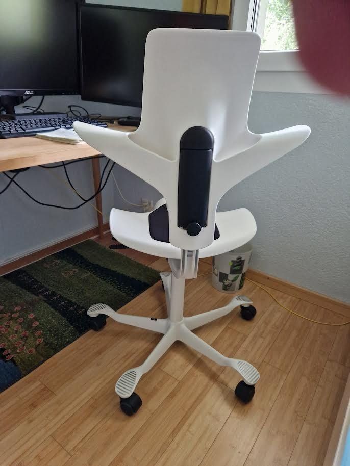 Håg Sedie: Chaisse de bureau HAG Capisco Puls – Usato da Lonay venduto da fre_p669 1