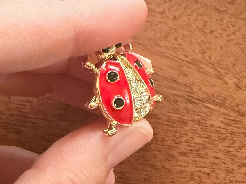 Spille & Fermagli: Hübsche Brosche Marienkäfer rot/goldig mit Strass – Nuovo (secondo la descrizione) da Gams venduto da Mariawicca 3