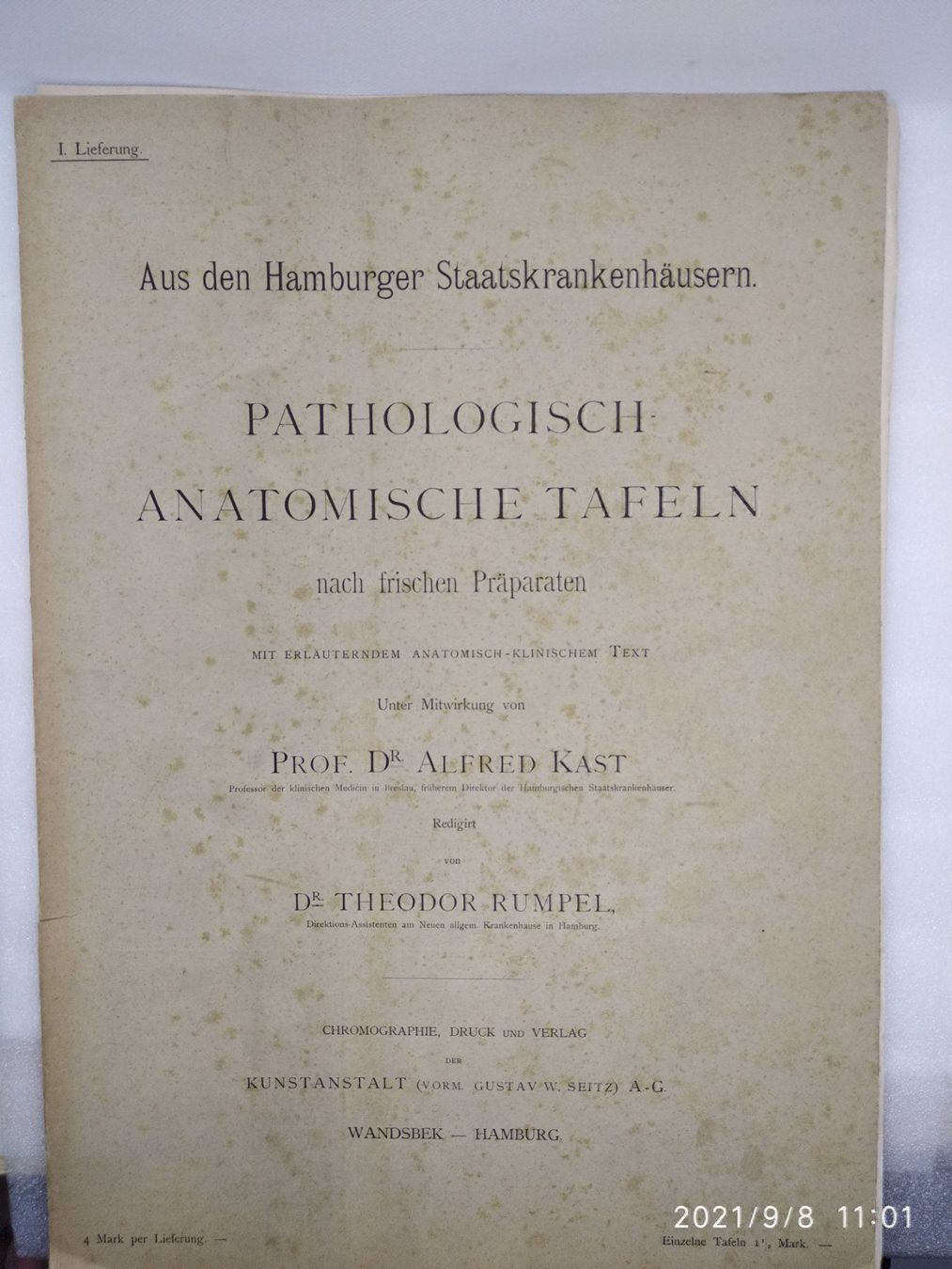 Libri: MEDIZIN - ANATOMIE - KAST - RUMPEL - P – Usato da Goldach venduto da Gaip 7