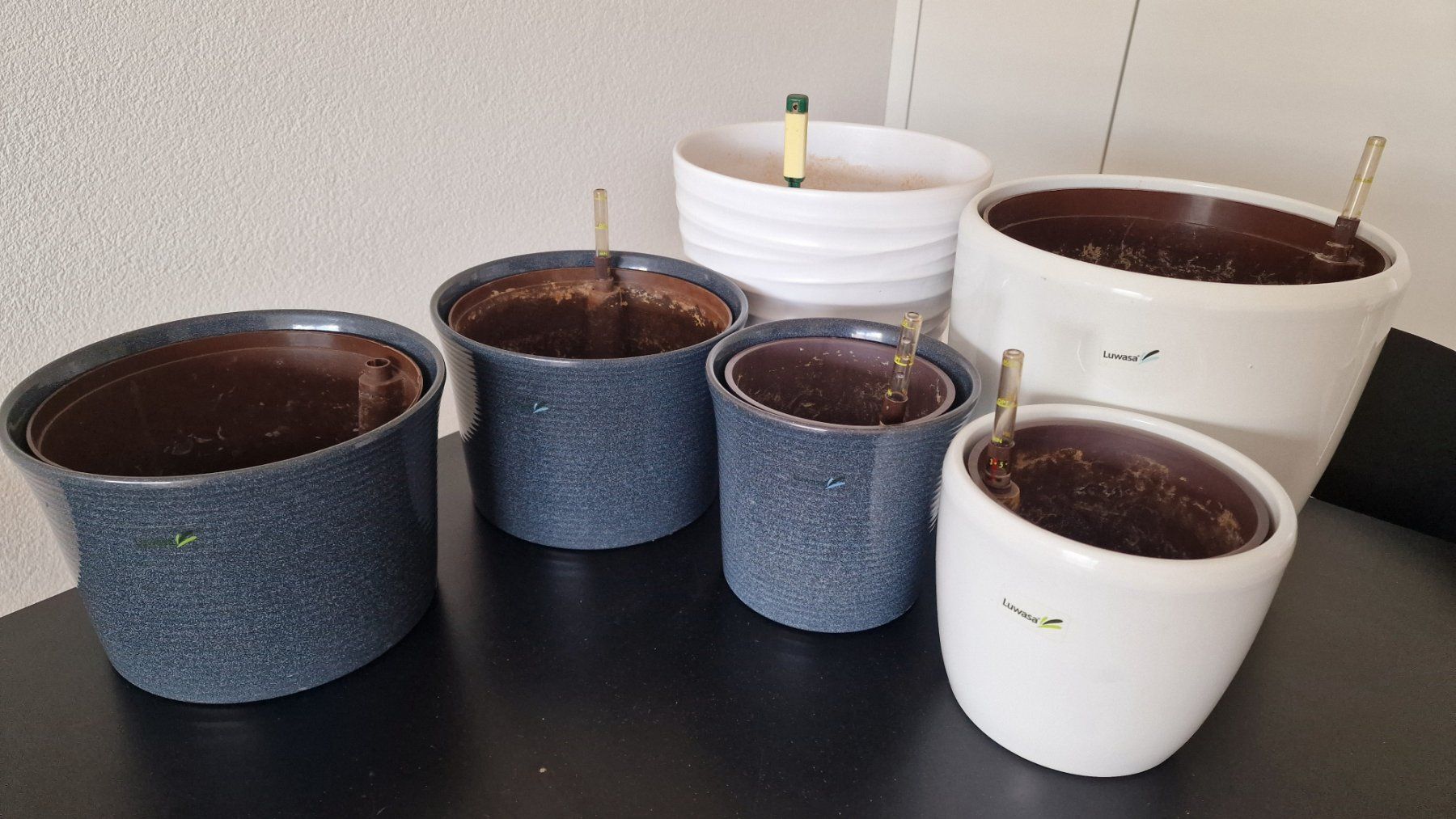 Luwasa Pots de fleurs: 6 Hydrotöpfe mit Wasserstandsanzeiger – D'occasion à Murten par Cheri23