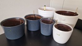 6 Hydrotöpfe mit Wasserstandsanzeiger
