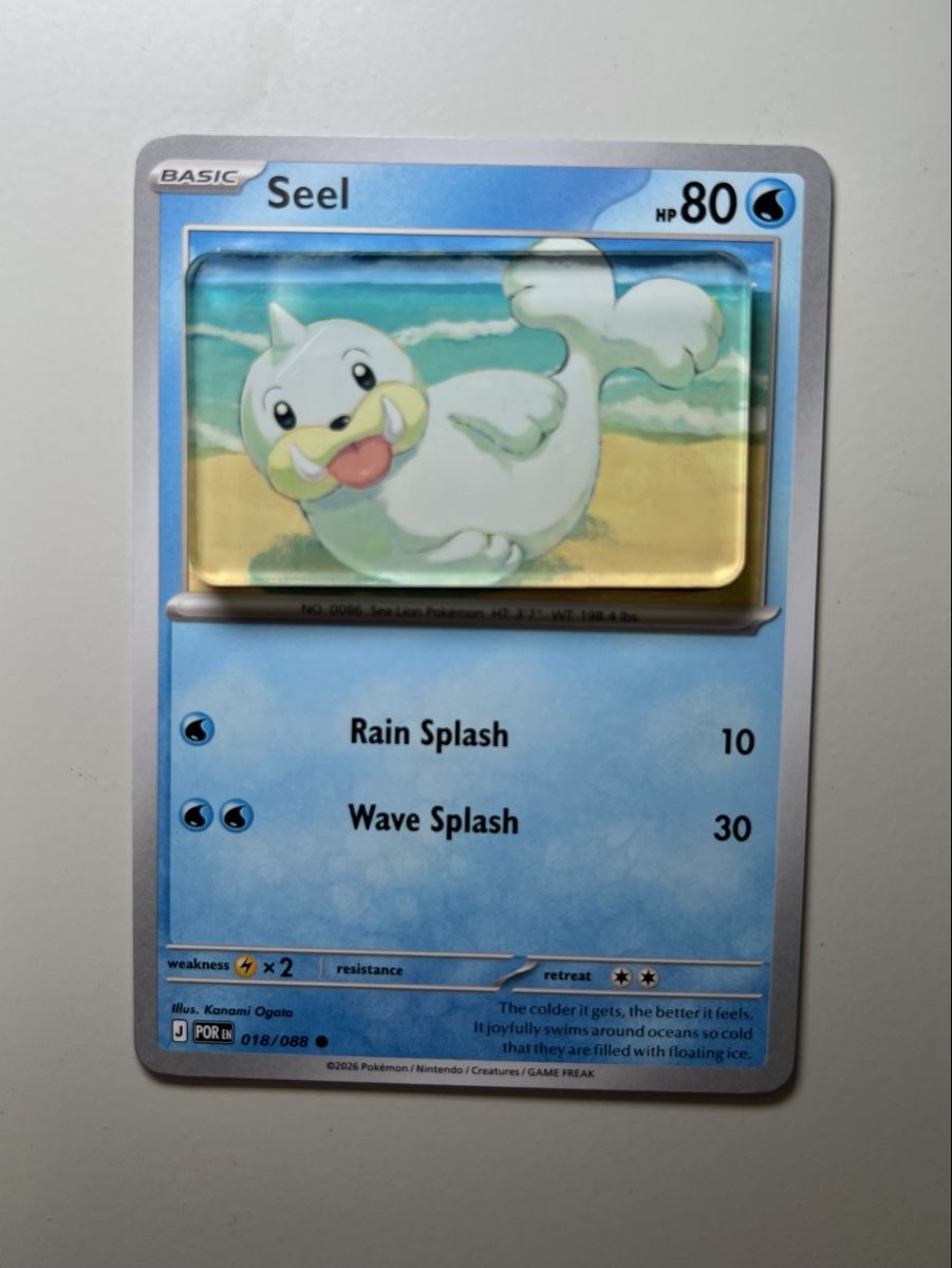 Pokémon Carte collezionabili: Pokemon Seel Magnet – Nuovo (secondo la descrizione) da Langenthal venduto da EceSuzu 1