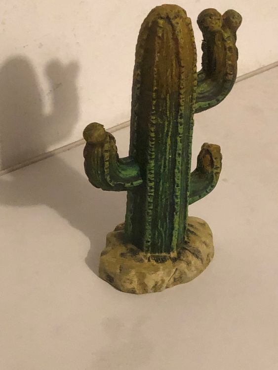 Kaktus deko  Acheter sur Ricardo