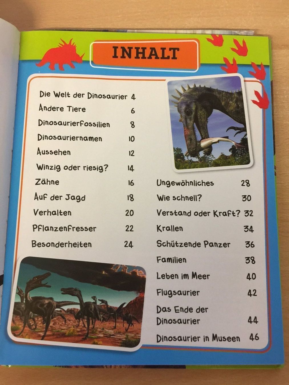 Libri: Warum hatten Dinosaurier Schuppen? – Usato da Glattfelden venduto da cybermaxx 3