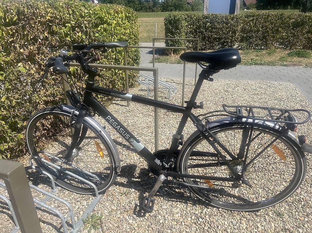 Velos: Pegasus Velo zu verkaufen – Gebraucht aus Alberswil von mic_d2mc