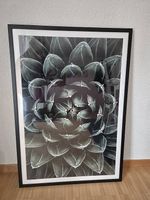 Wunderschönes Bild Pflanze, Kaktus
