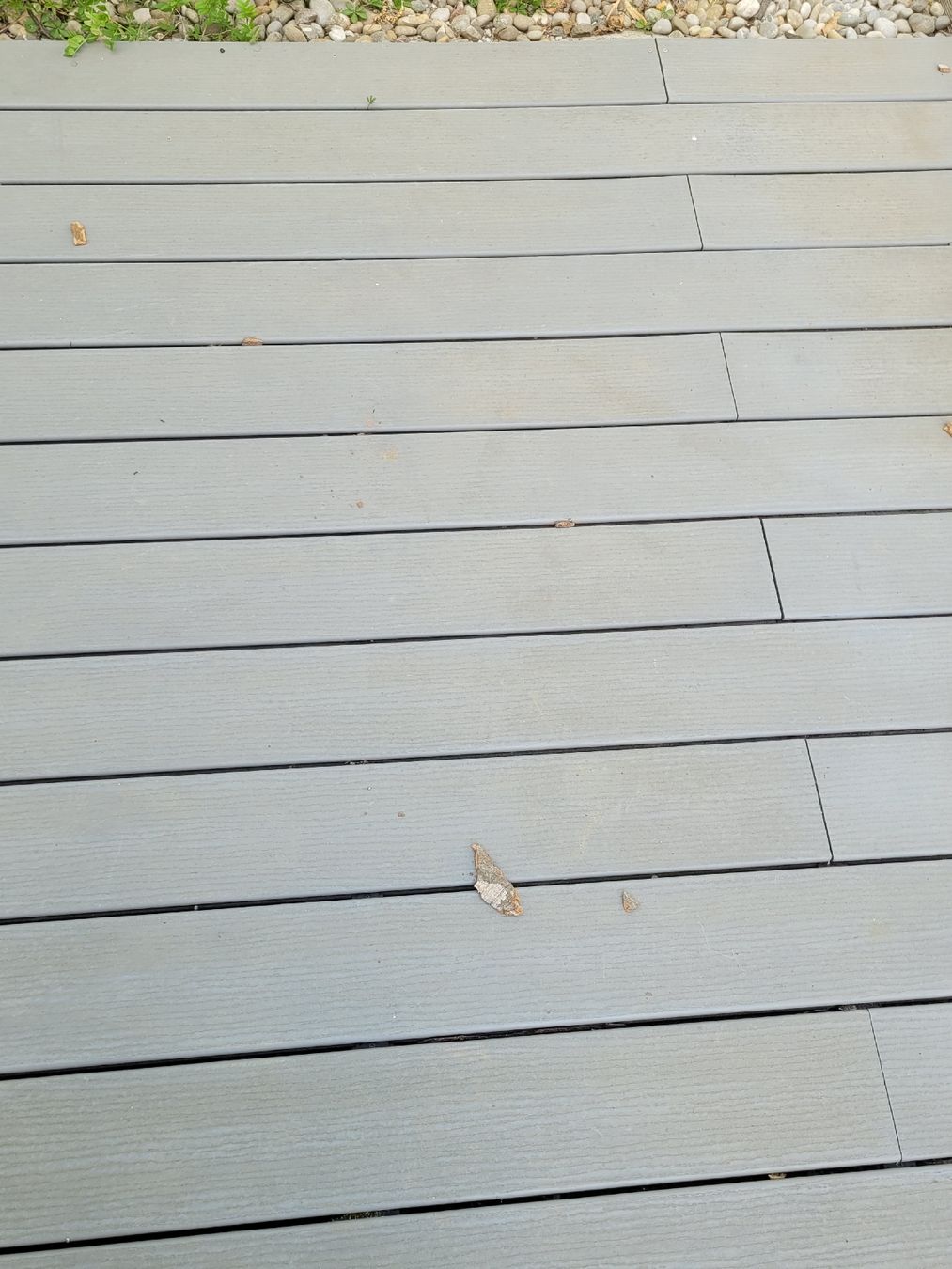 Rivestimenti per pavimenti: Terrassen kunststoff Boden – Usato da Rüti ZH venduto da gigi.floh