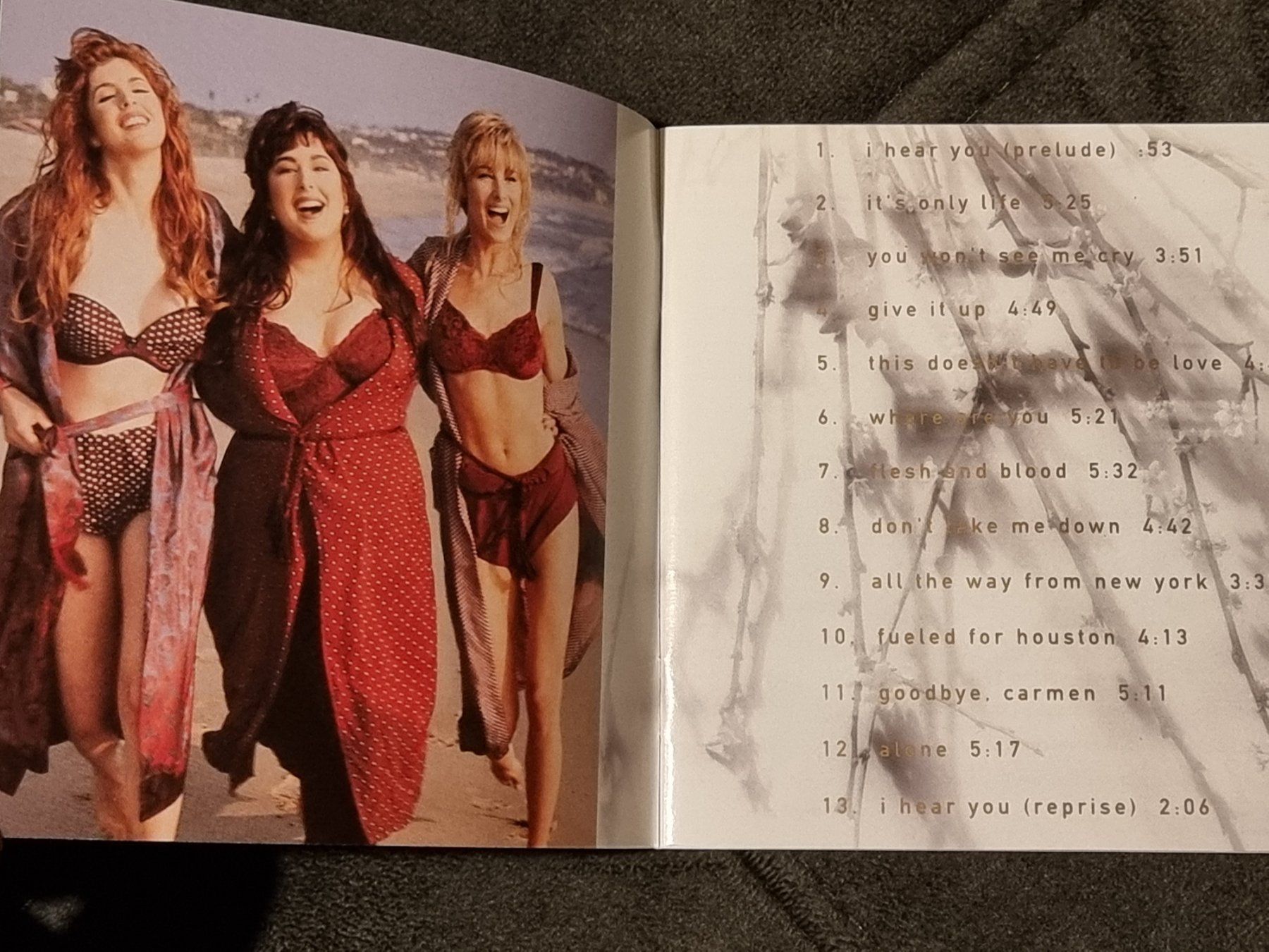 CD: Wilson Phillips - Shadows And Light (CD) – Usato da Villigen venduto da Tschachtlan 4