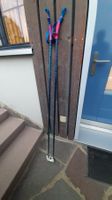 Langlaufstöcke EXEL Carbon 155 cm mit Abstoss-Stützen