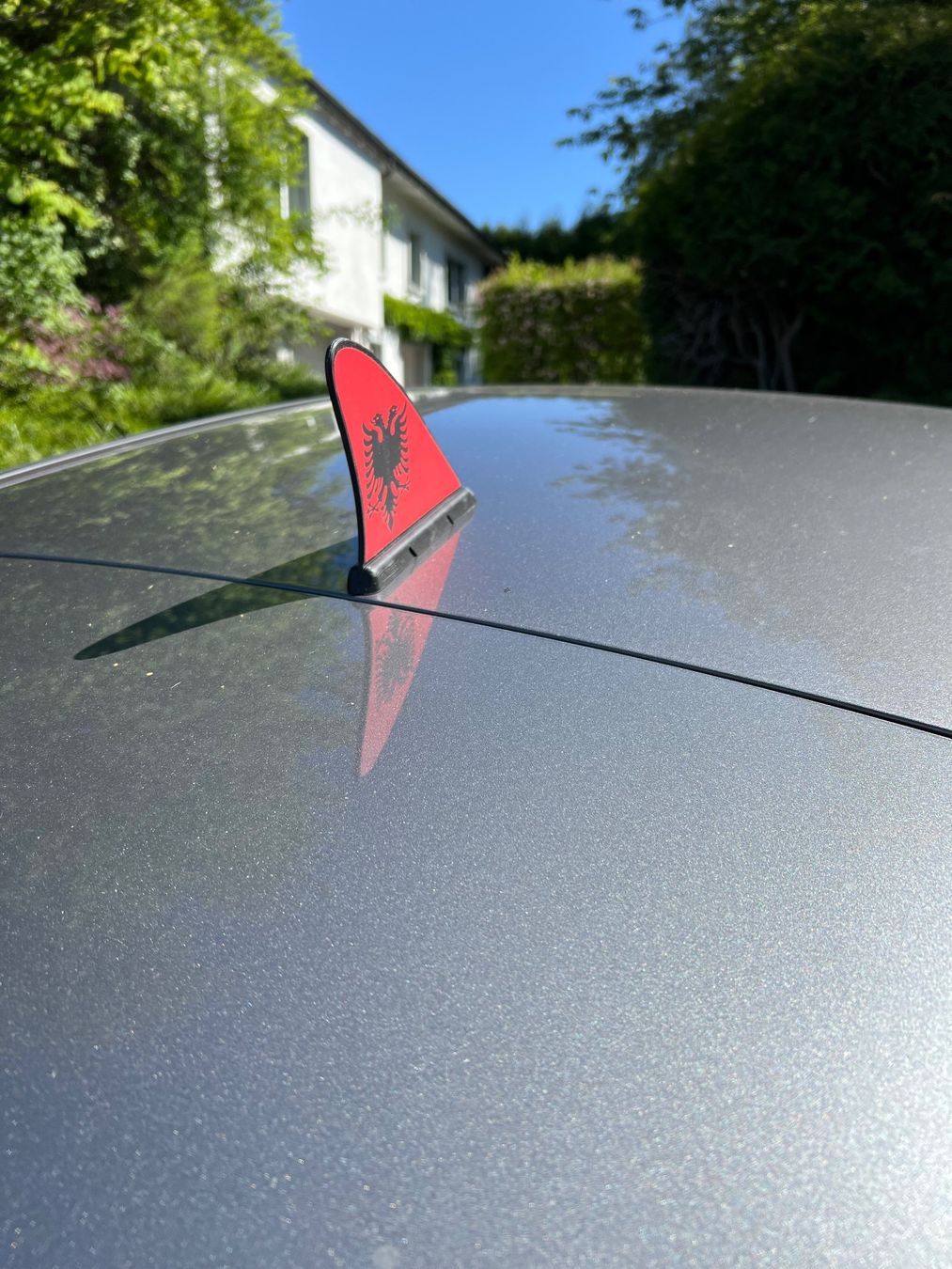 Flossen, Masken & Schnorchel: Fanflosse – Gebraucht aus Lufingen von Palm4 1