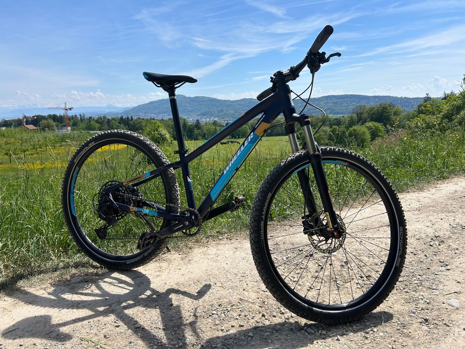Wheeler Biciclette: Wheeler Protron 1.7 Mountainbike – Usato da unterengstringen venduto da Holger9 1