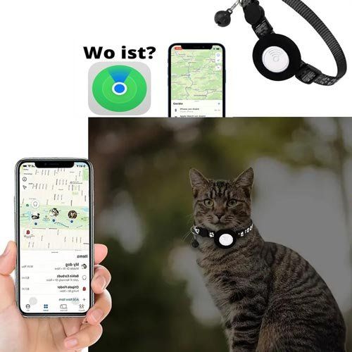 Sonstiges Tierzubehör: Katzenhalsband mit GPS-Tracking-Gerät – Neu und originalverpackt aus Liestal von OMAROSHOP