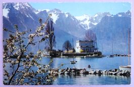 Clarens-Montreux, L'Ile de Salagnon