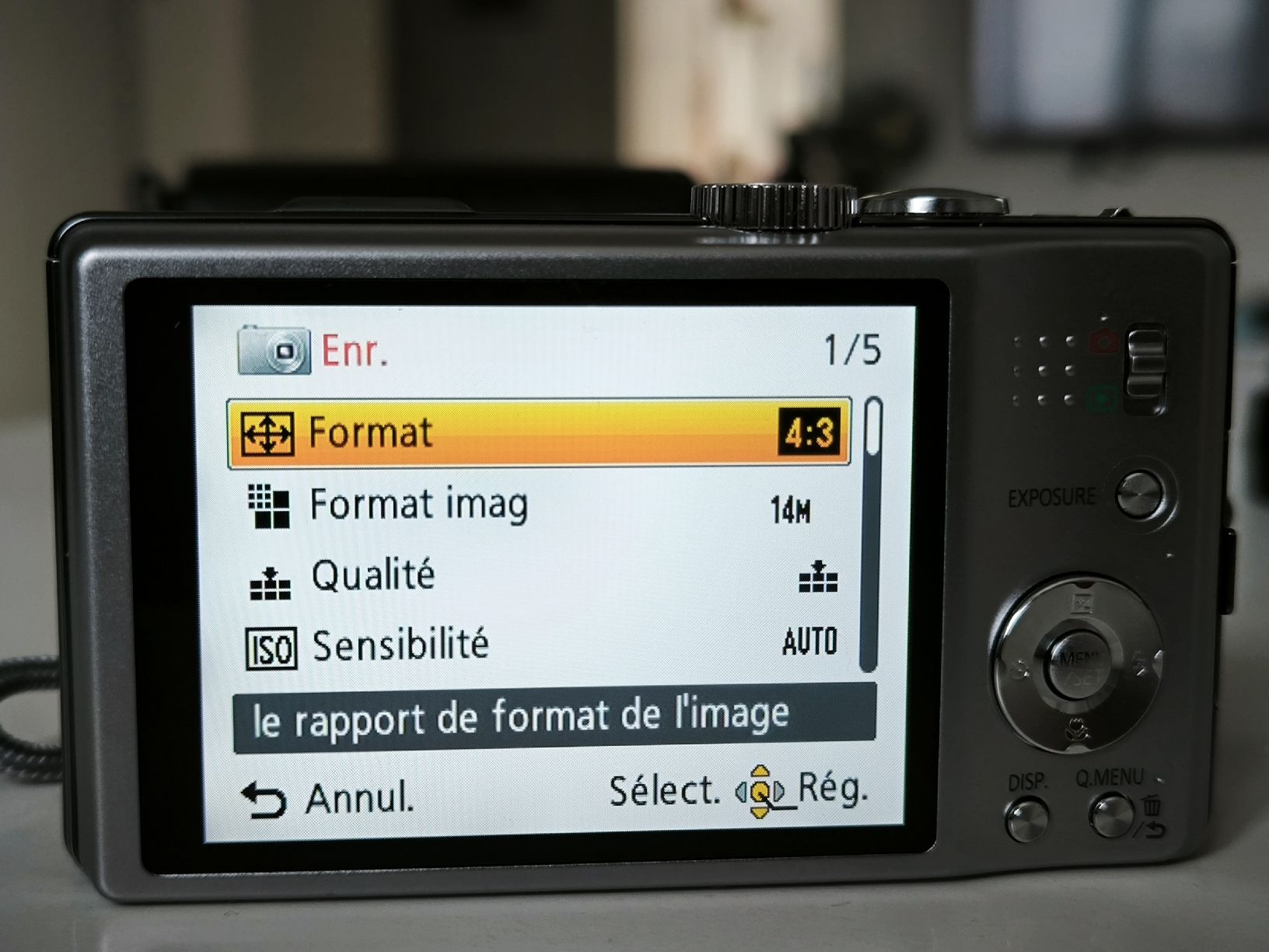 Panasonic Fotocamera: Panasonic Lumix Tz20 – Usato da Riaz venduto da vanucaptures 6
