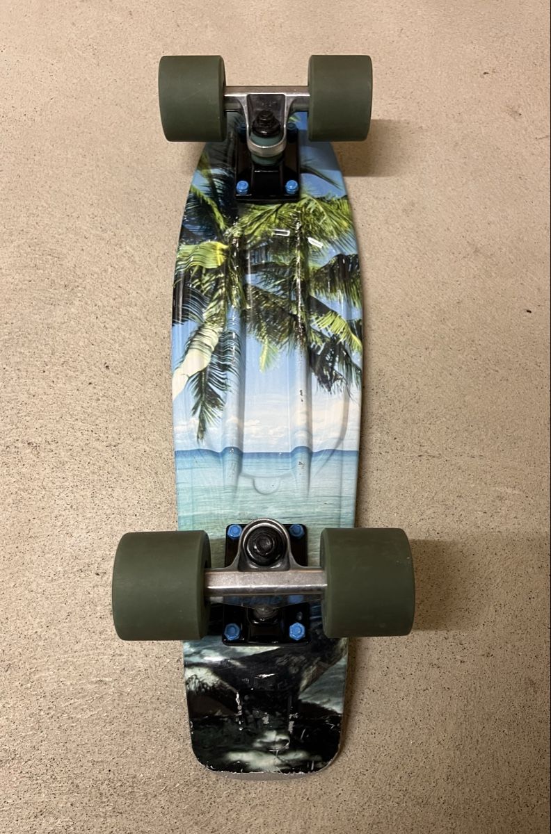 Skateboards: Cooles Skateboard mit Palmenmotiv – Usato da Rafz venduto da SaintCruz 3