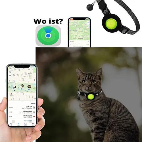 Altro in Accessori per animali: Katzenhalsband mit GPS-Tracking-Gerät – Nuovo e nell'imballaggio originale da Liestal venduto da OMAROSHOP 1