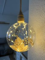 LED Leuchtkugel Trockenblumen