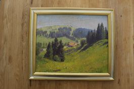 Paysage du Jura Neuchâtelois et la Baronne