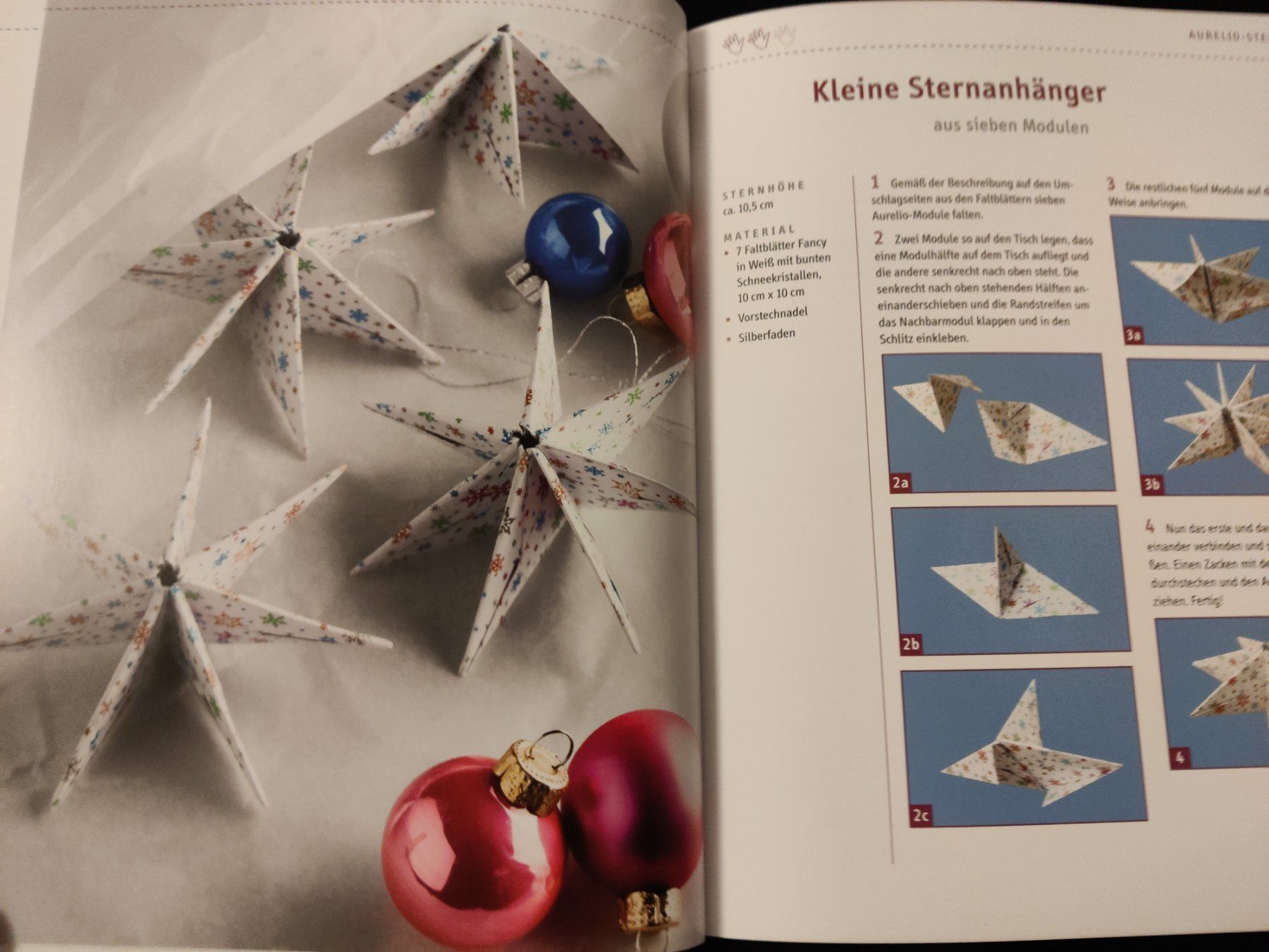 Libri: * Einzigartige Aurelio-Sterne / Täubner -Topp 2011 (mit DVD) – Usato da Muttenz venduto da Negnuja 2