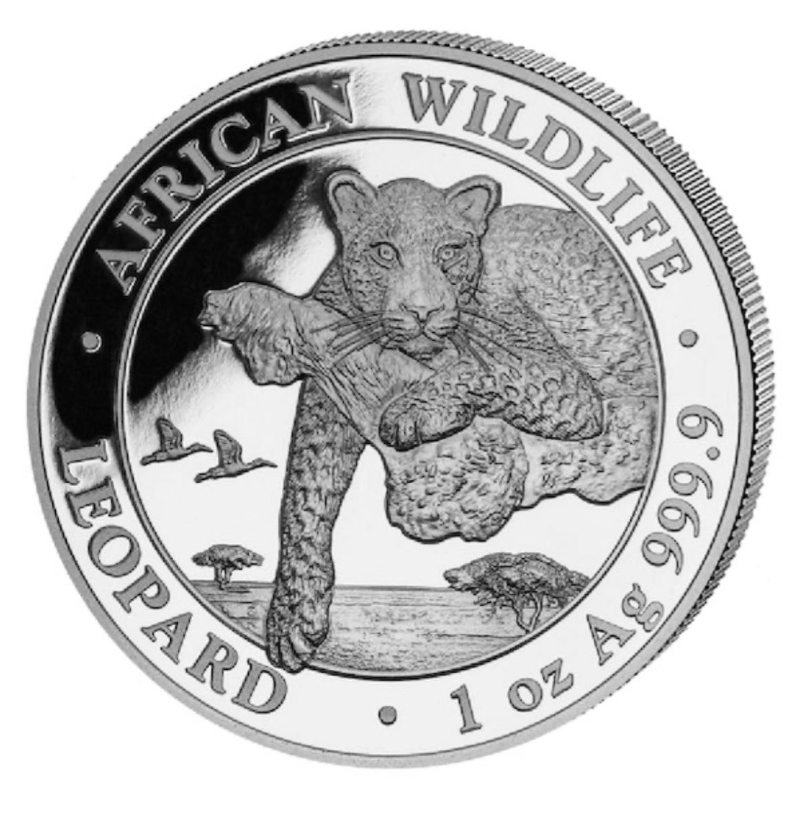 Alle Münzen: Somalia Leopard Silber 2020 – Neu (gemäss Beschreibung) aus Neuendorf von connoisseur 1