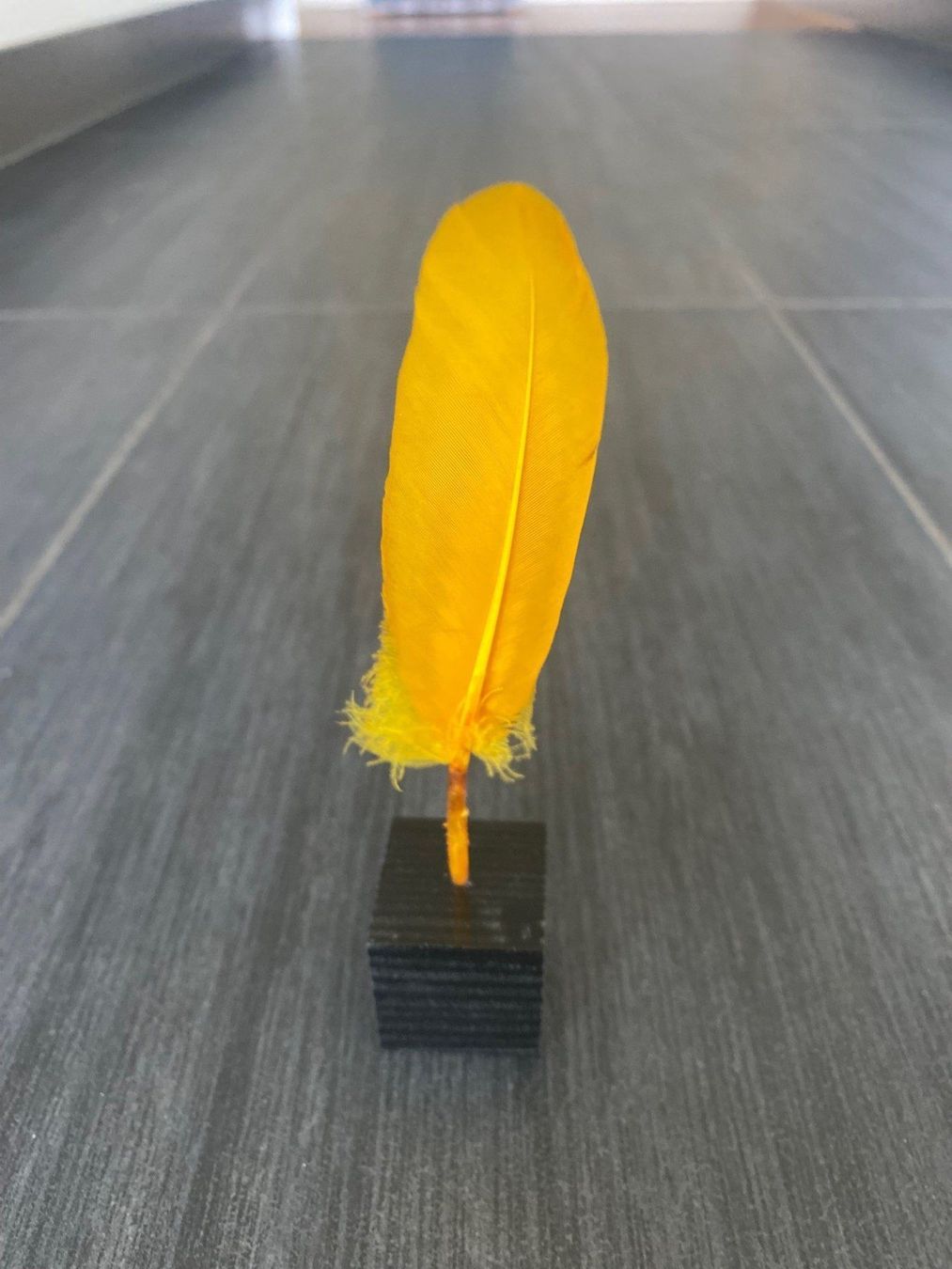 Toutes les décorations: Dekoobjekt "Feder" – Neuf (Voir description) à Lachen SZ par JLO-Creations 1