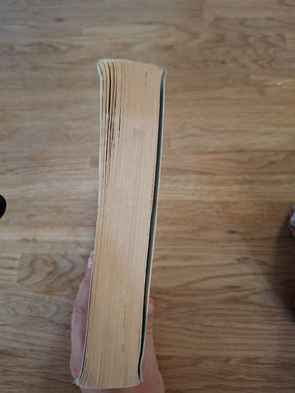 Livres: Richard David Precht "Wer bin ich" – D'occasion à Leuk-Stadt par See_Lin 1