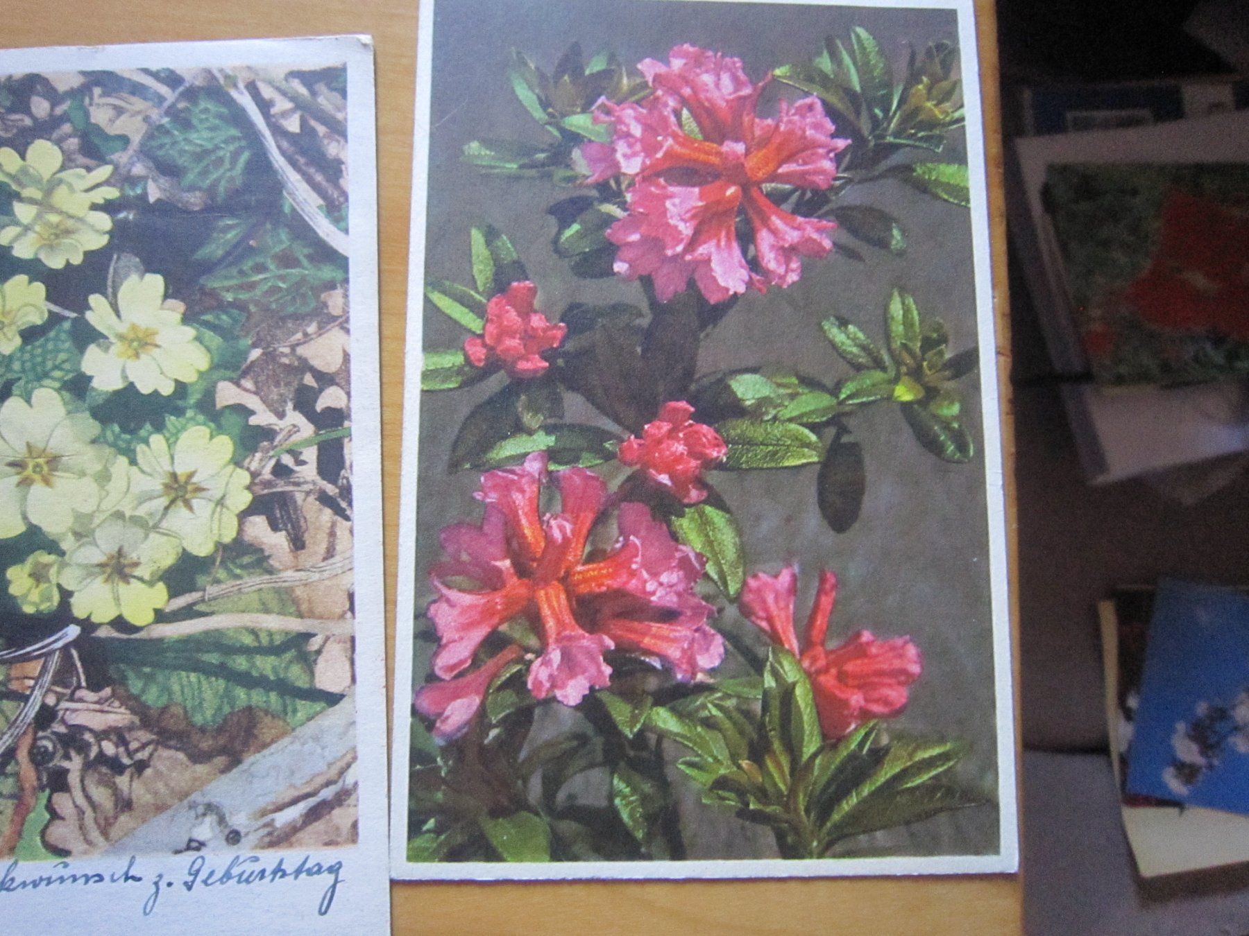 Ansichtskarten: No2 Postkarten Blumen – Gebraucht aus Gordola von Polentaefung 6