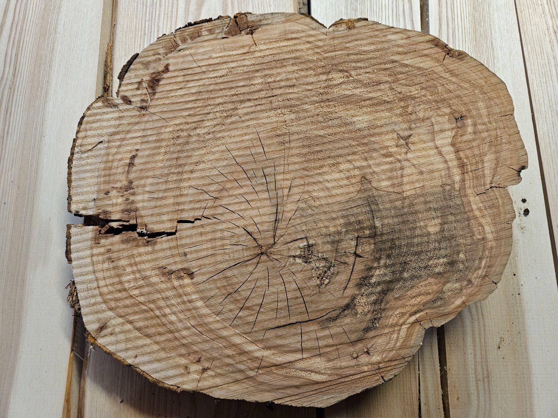 Holzartikel: Baumscheibe Kirschbaum Holz – Neu (gemäss Beschreibung) aus Schangnau von egli6.2 1