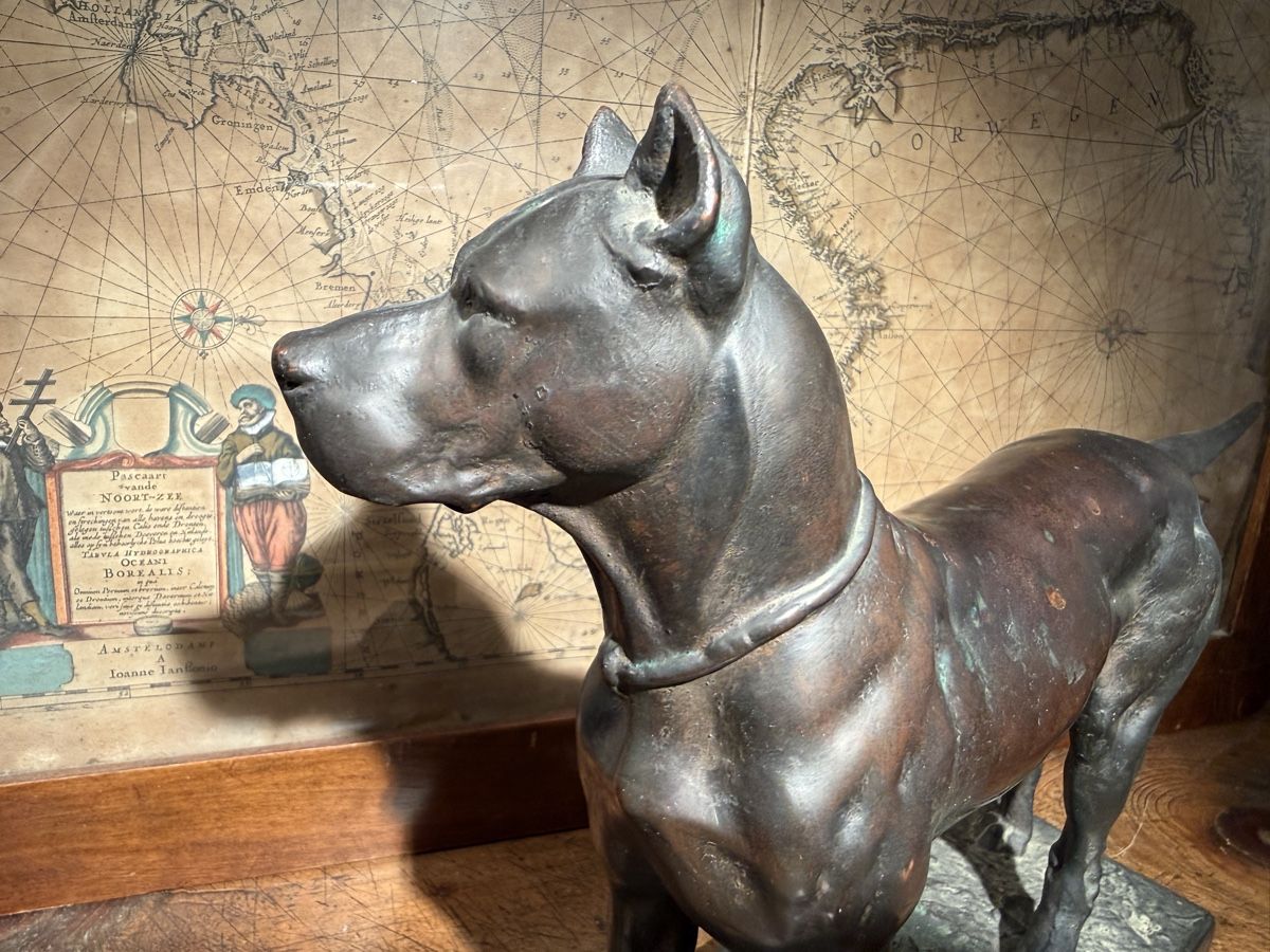 Sculture & Statue: Antike Hunde Skulptur – Usato da schaffhausen venduto da VintAntik_1980 7