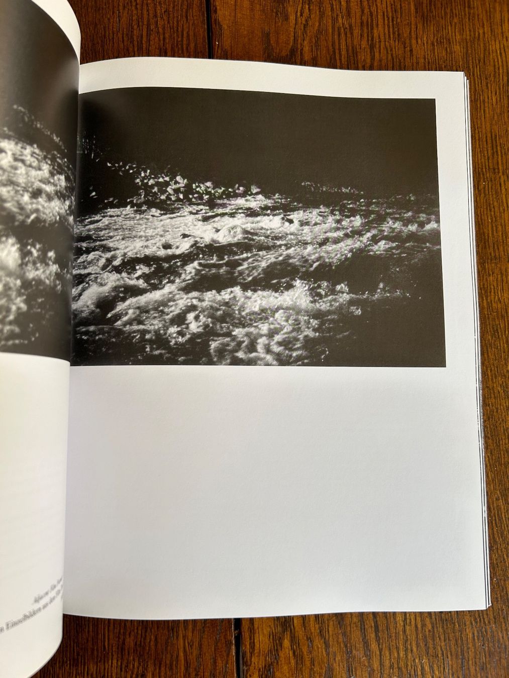 Bücher: Rodney Graham - Through the Forest – Gebraucht aus Basel von Peter_schlemihl 7