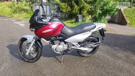 Motorrad Suzuki Freewind XF650 frisch ab MFK